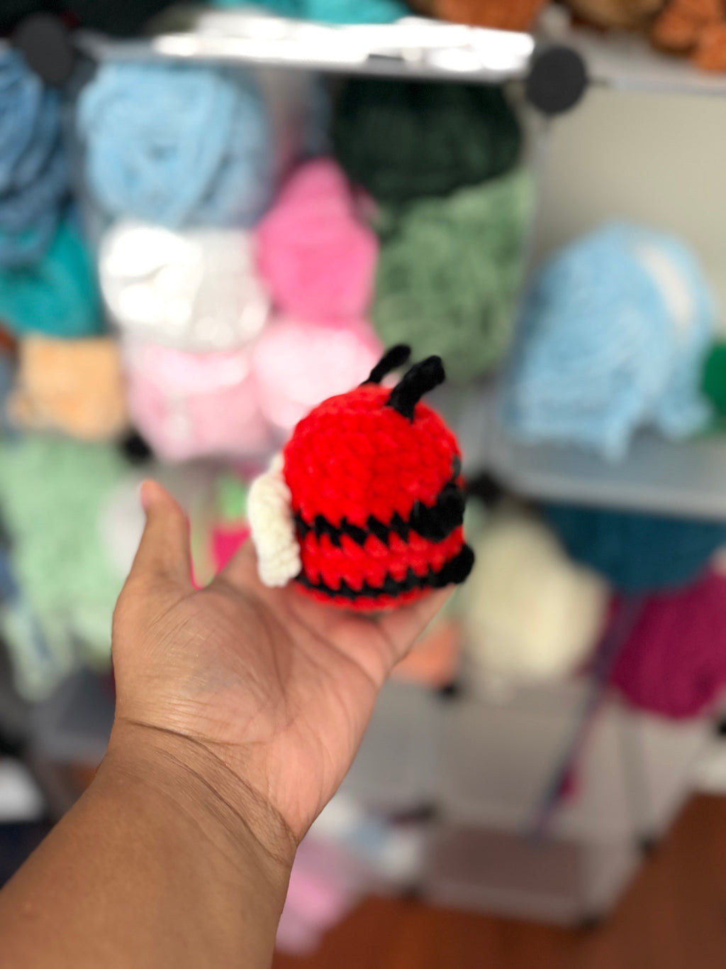 Red and black bee