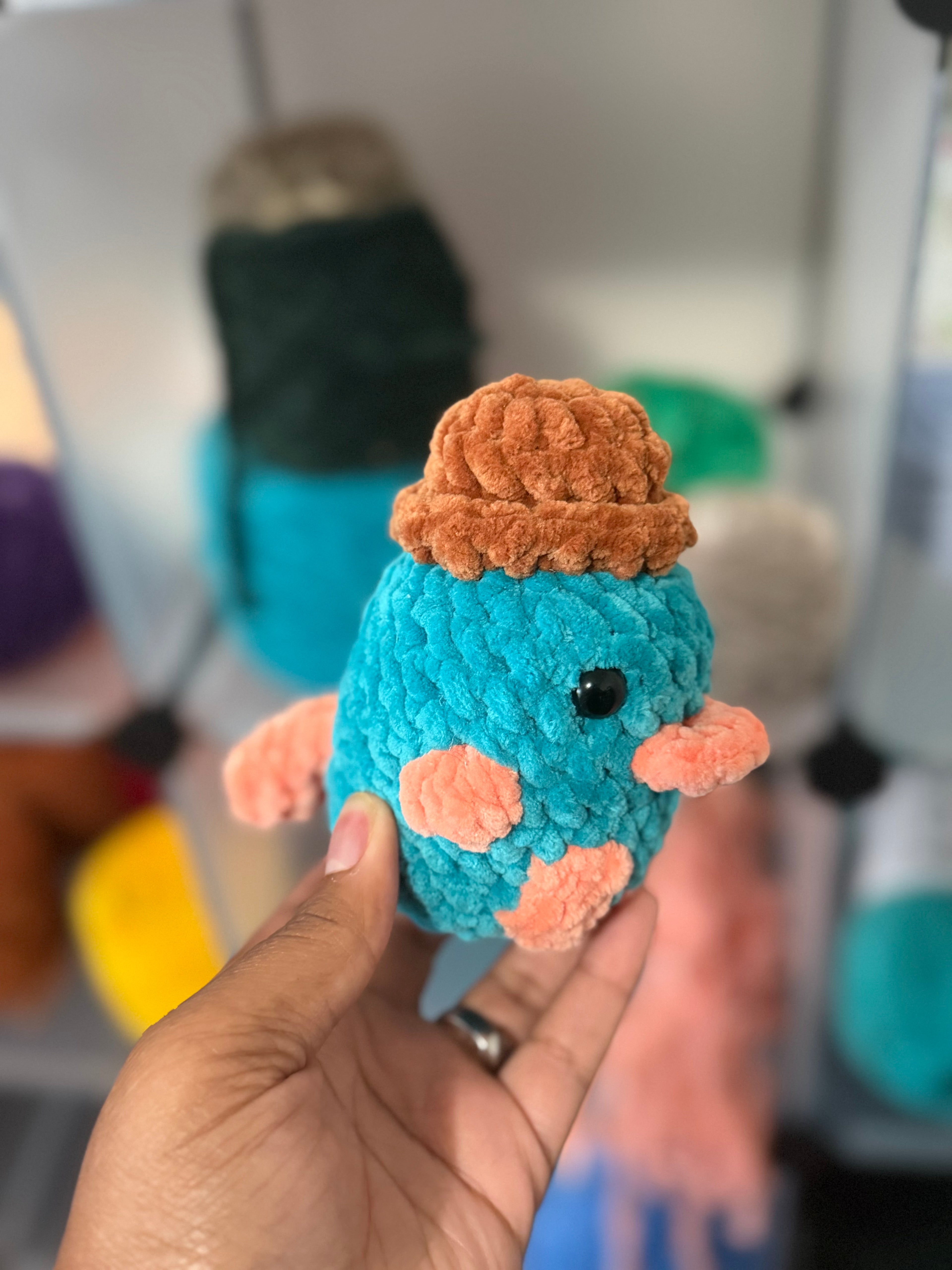 Platypus with a hat