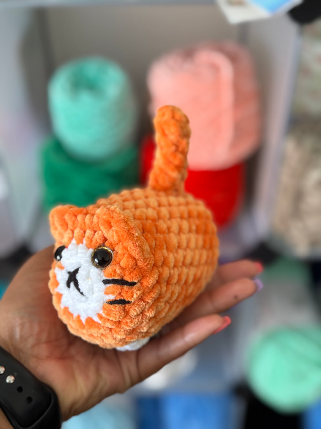 Orange cat
