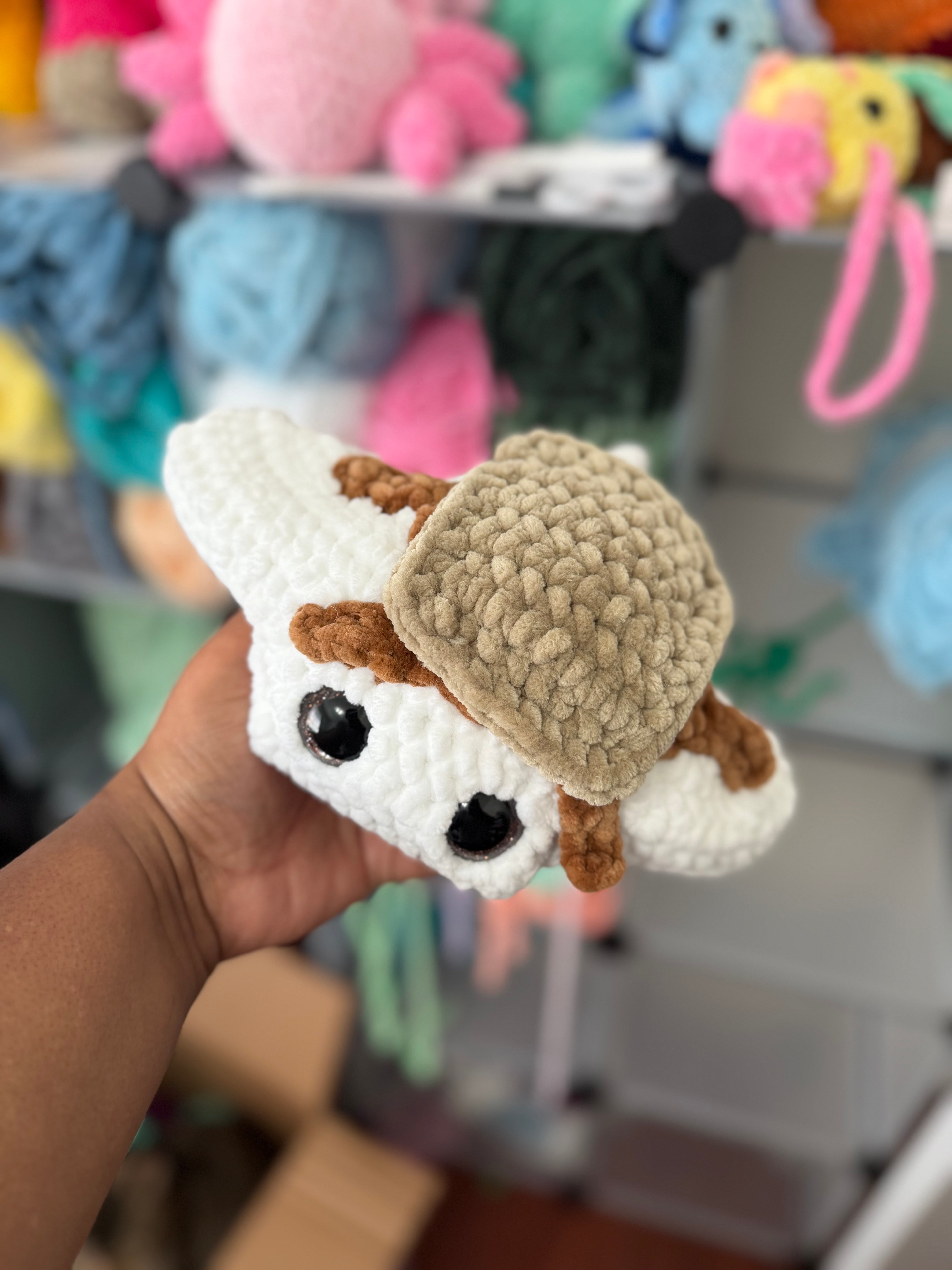 Smore’s stingray