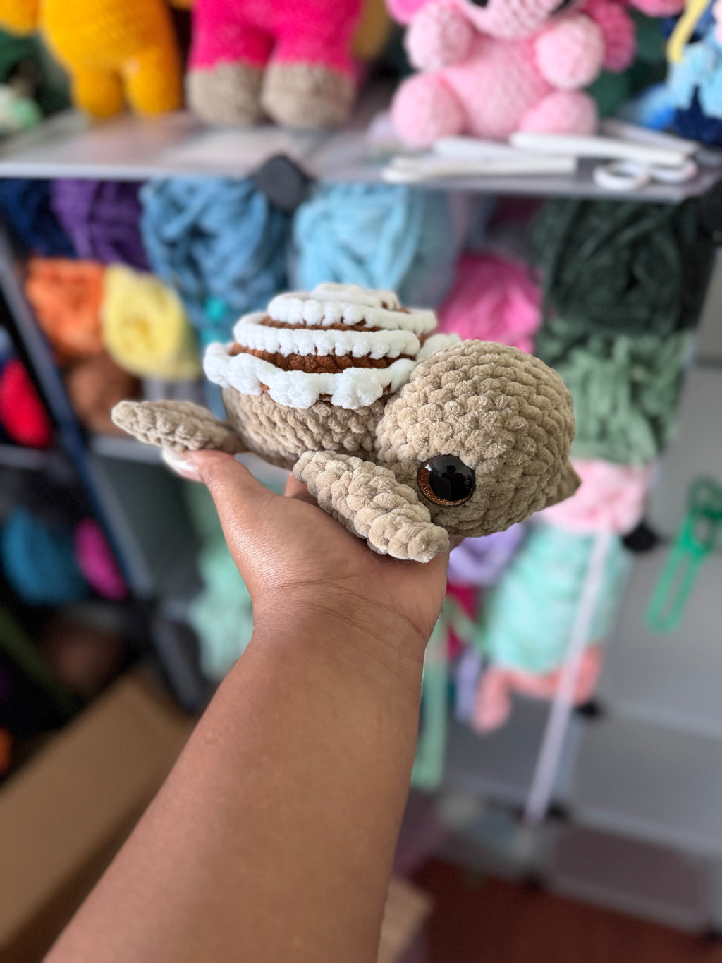 Cinnamon roll turtle