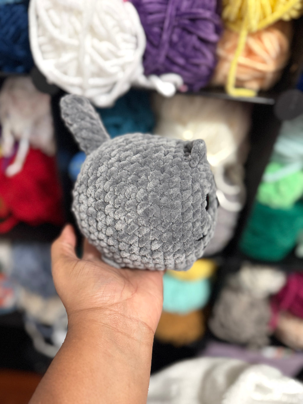 Large gray loaf cat