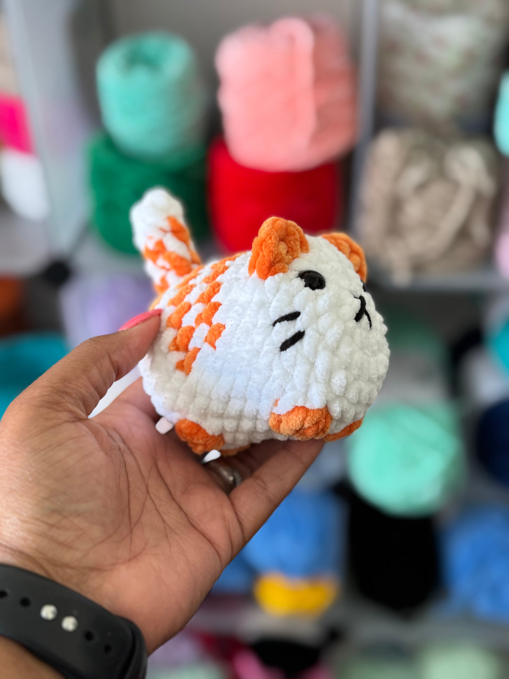 White cat with orange stripes