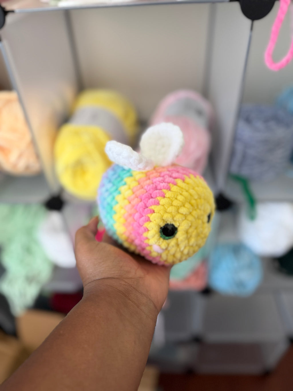Rainbow bee
