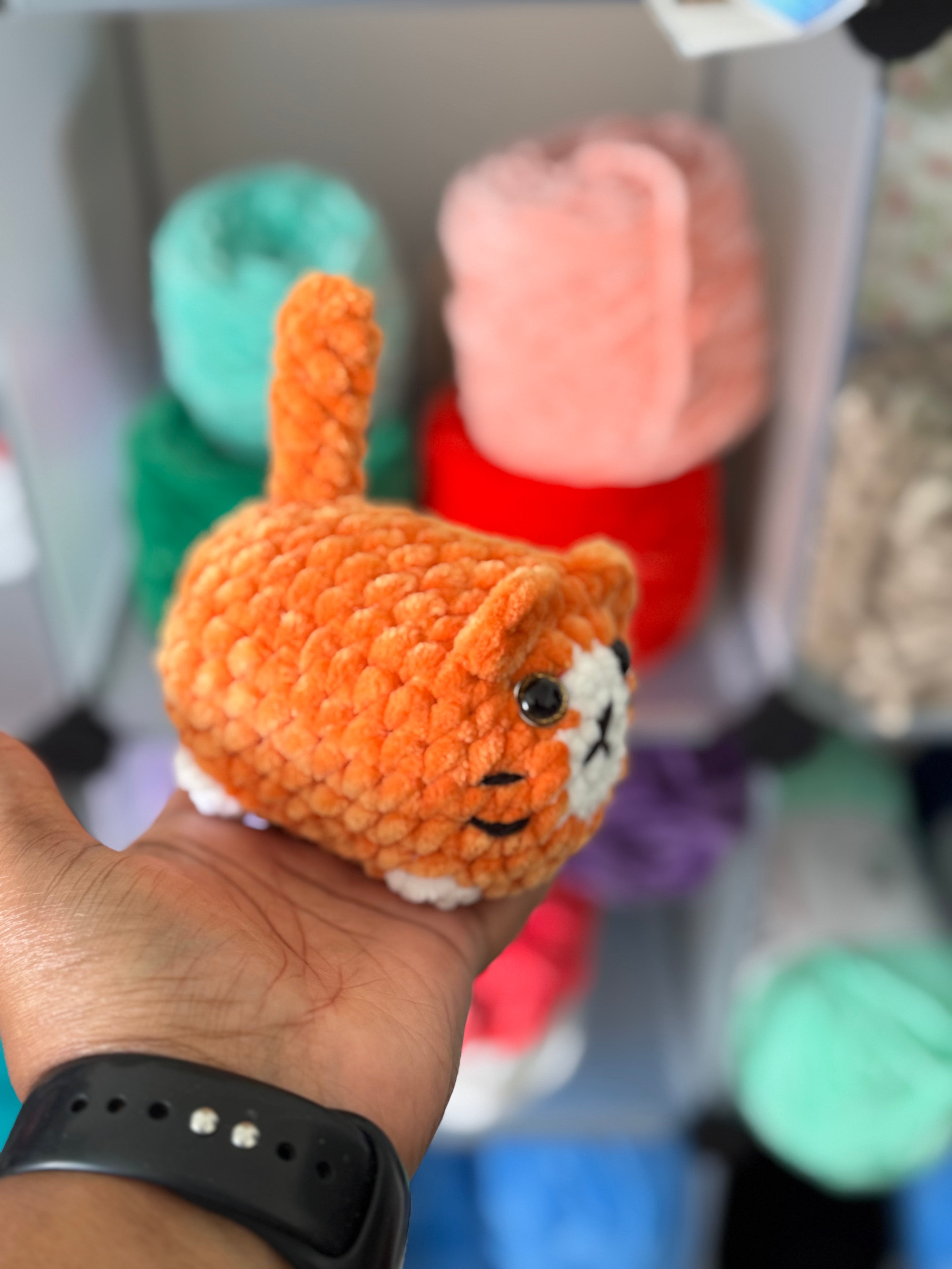 Orange cat