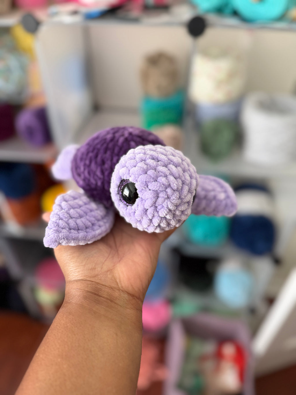 Purple turtle