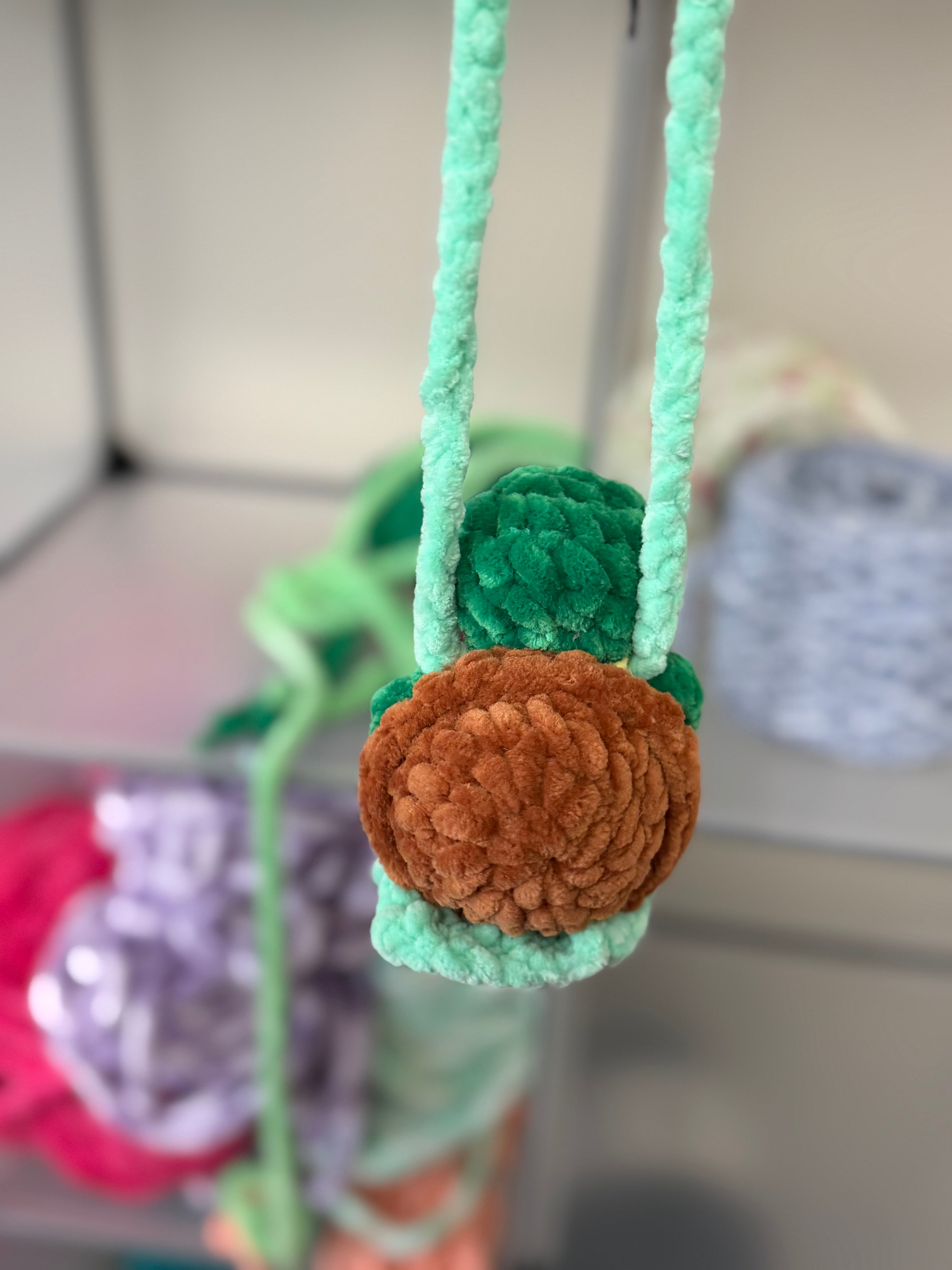 Turtle car swing