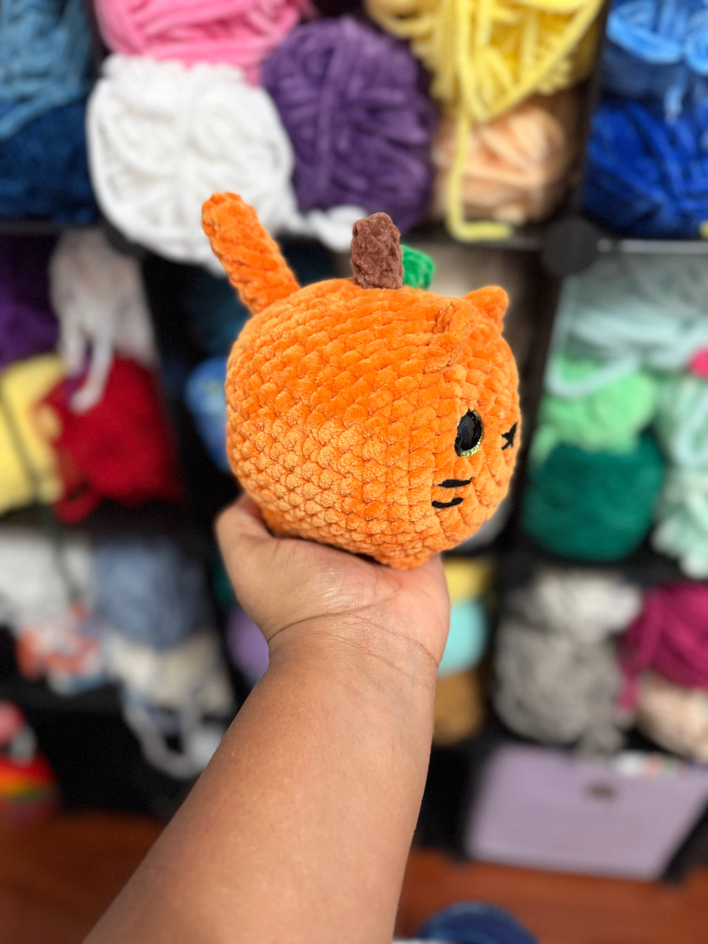 Pumpkin loaf cat