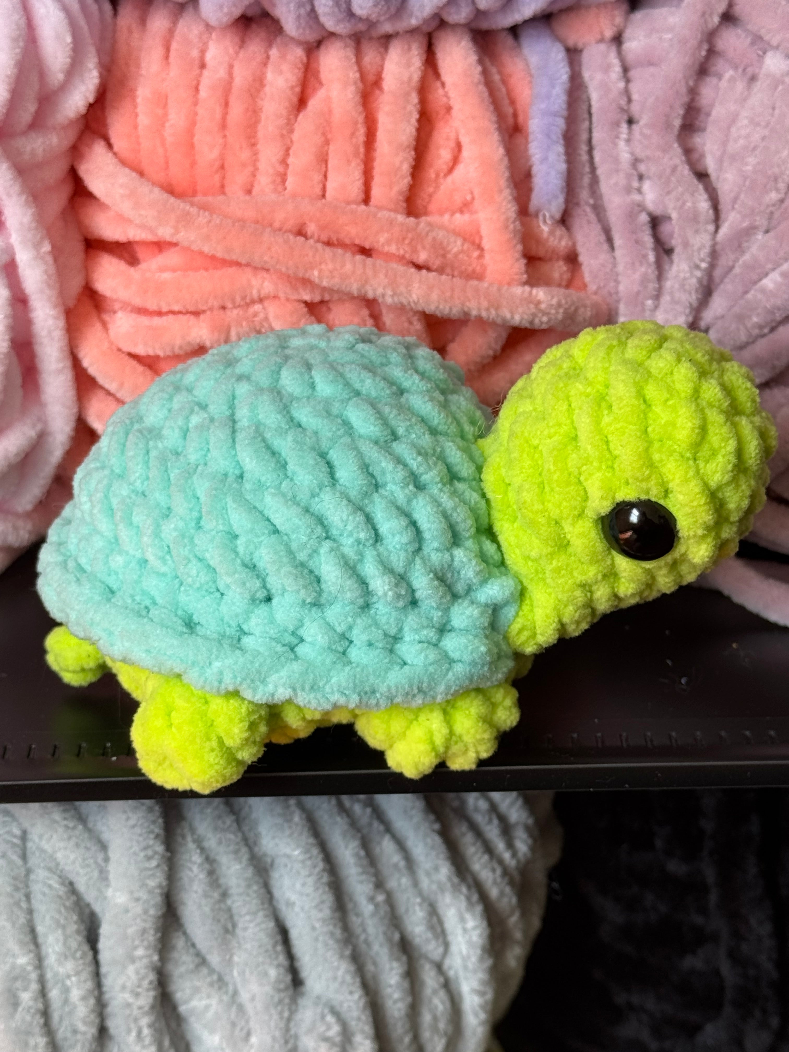 Mystery mini turtle