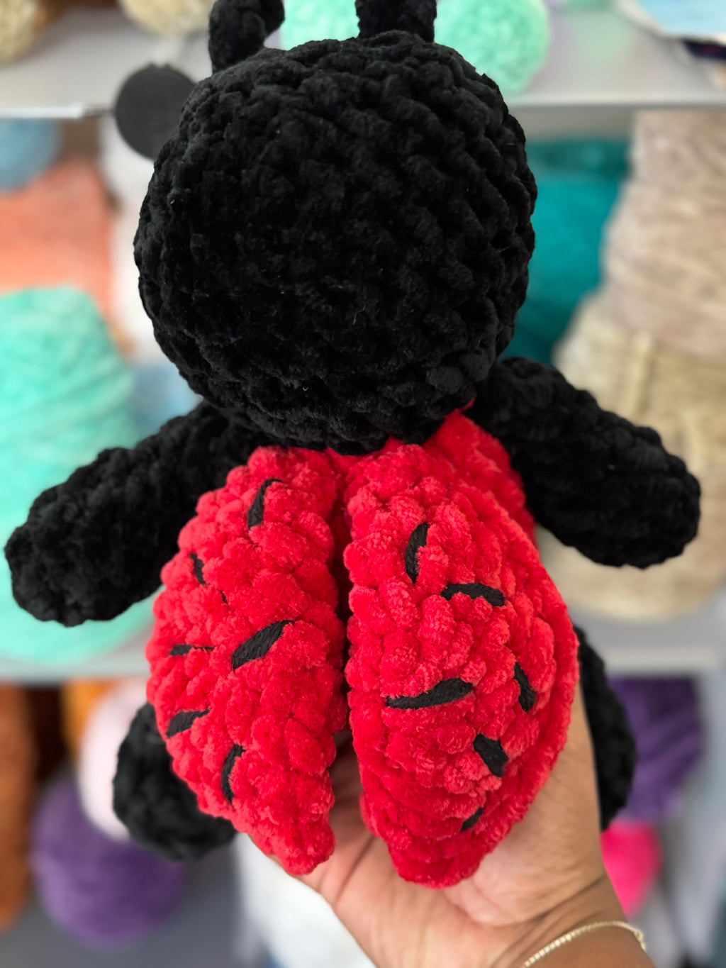Jumbo ladybug