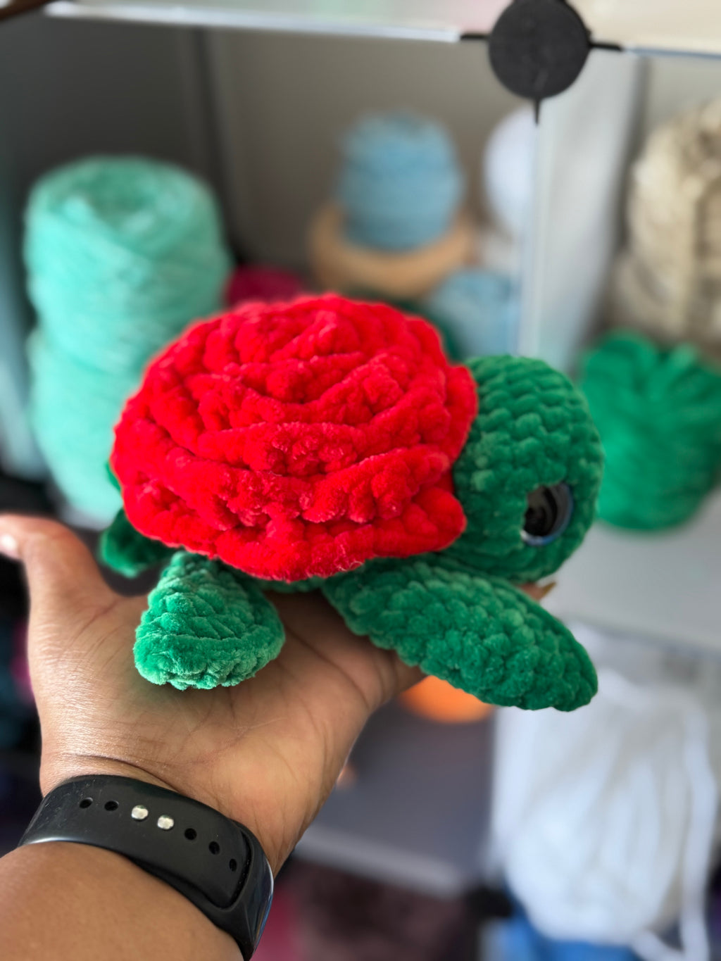 Red Rose turtle