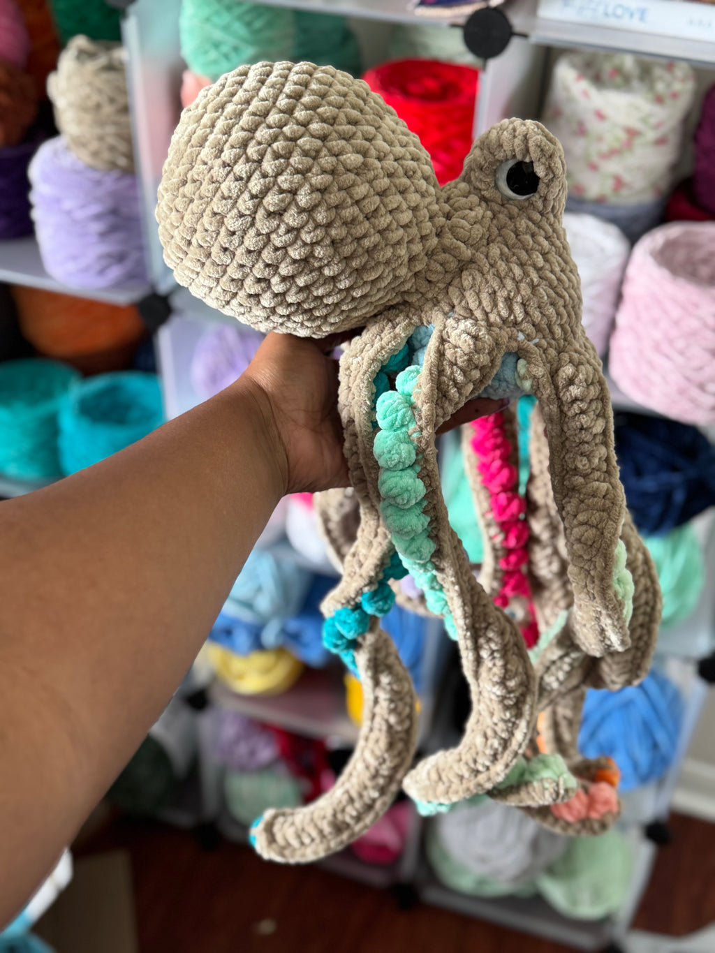 Rainbow jumbo octopus
