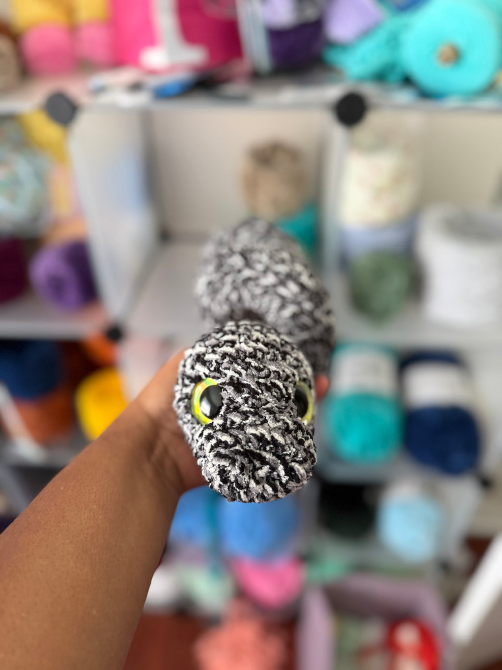 Granite snake (yellow eyes)