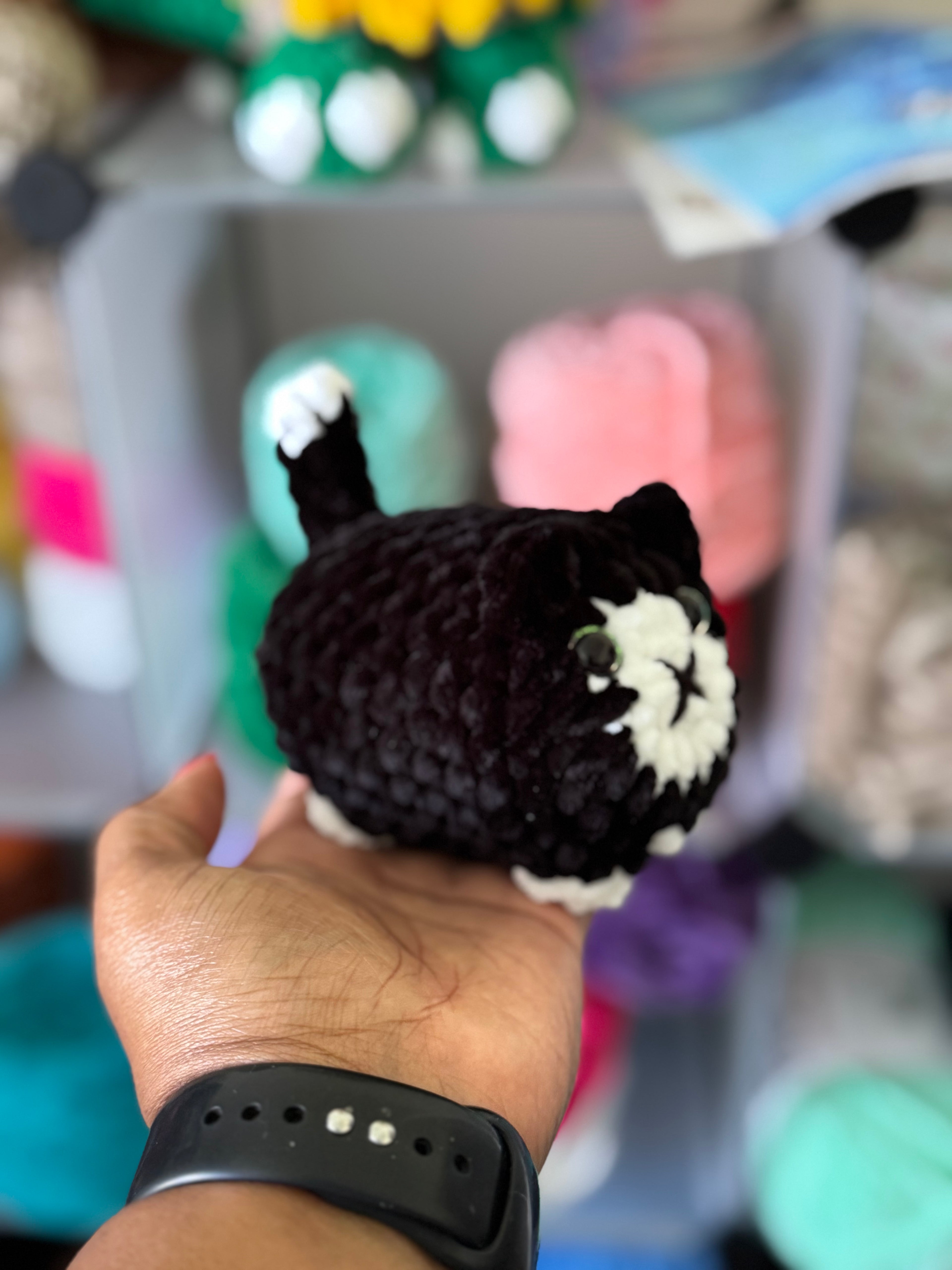 Tuxedo cat