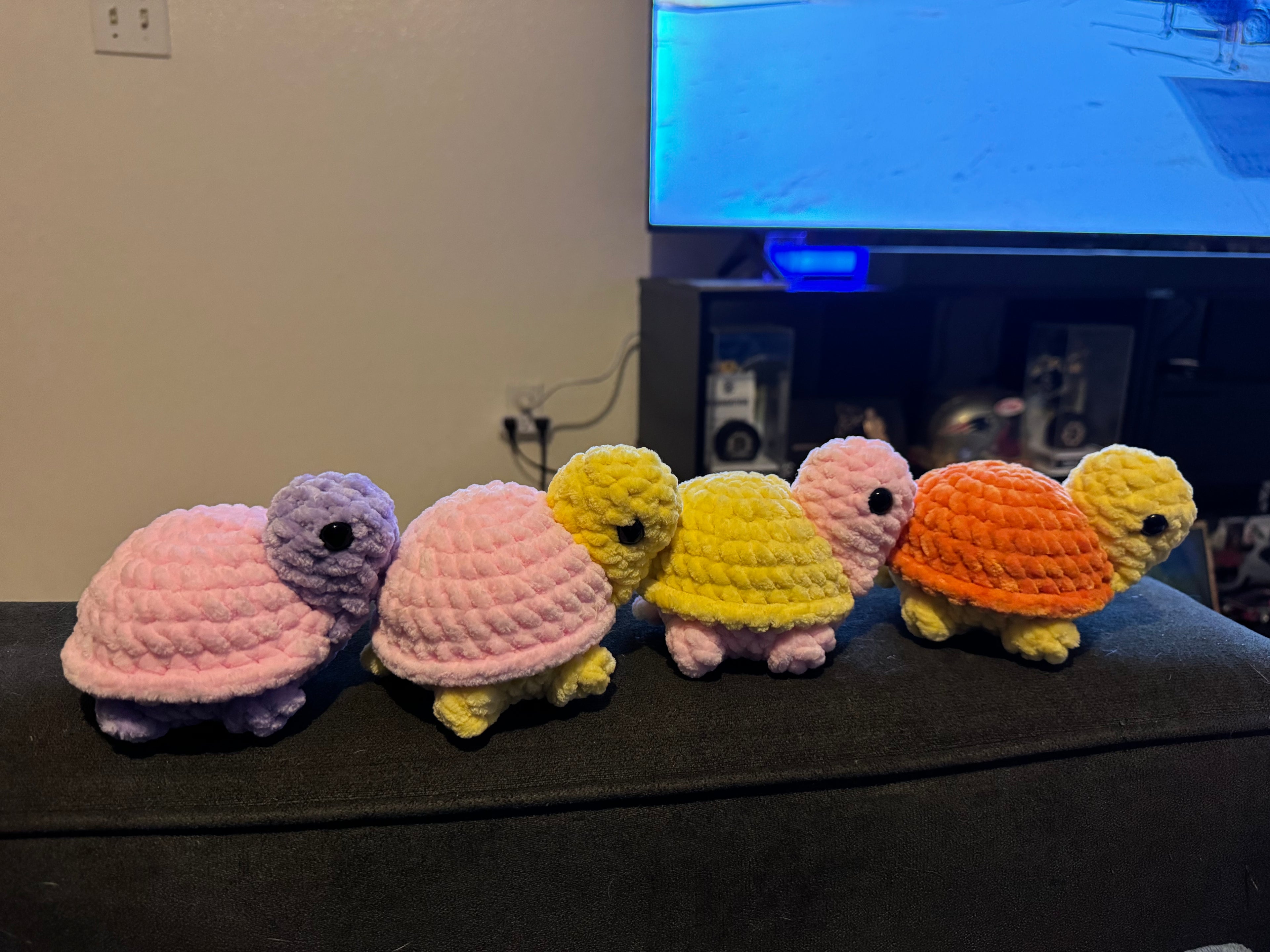 Mystery mini turtle