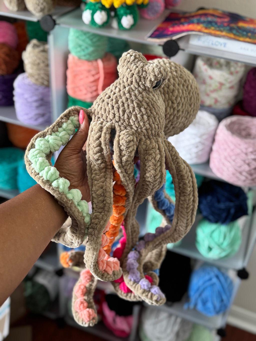 Rainbow jumbo octopus