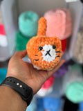 Orange cat